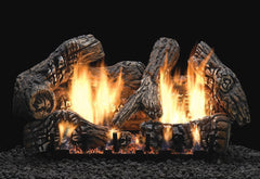 StarWood Fireplaces - Empire Comfort Systems VF/V Slope Glaze Vista Multi-Sided -18 Inch Burner -