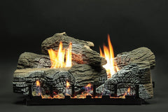 StarWood Fireplaces - Empire Comfort Systems VF/V Slope Glaze Vista Multi-Sided -24 Inch Burner - Natural Gas / MIllivolt with on/off Switch